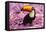 Brazil. Toco Toucan in the Pantanal.-Ralph H^ Bendjebar-Framed Premier Image Canvas