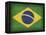 Brazil-David Bowman-Framed Premier Image Canvas