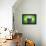 Brazilian Flag Soccer Ball-eabff-Framed Premier Image Canvas displayed on a wall