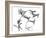 Brazilian Jasmine-Albert Koetsier-Framed Art Print