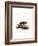 Brazilian Porcupine-null-Framed Giclee Print