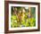 Brazilian Ruby Hummingbird, Clytolaema Rubricauda, Mid Flight Feeding from a Flower-Alex Saberi-Framed Photographic Print