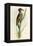 Brazilian Woodpecker, Pica Braziliensis Swainson-William Swainson-Framed Premier Image Canvas