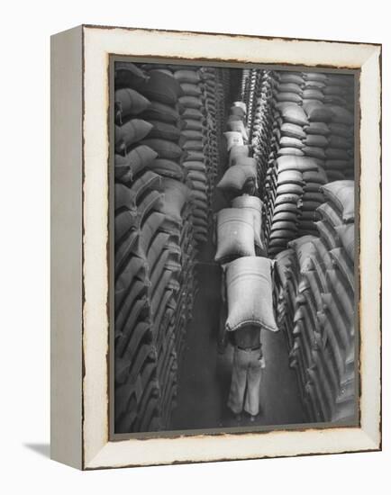 Brazilian Workers Carrying Large Sacks of Coffee Beans in Warehouse of Firm Lima, Noguera and Cia-John Phillips-Framed Premier Image Canvas