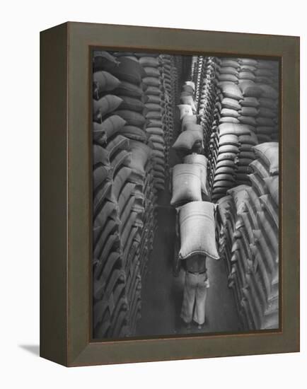 Brazilian Workers Carrying Large Sacks of Coffee Beans in Warehouse of Firm Lima, Noguera and Cia-John Phillips-Framed Premier Image Canvas