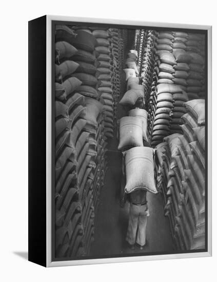 Brazilian Workers Carrying Large Sacks of Coffee Beans in Warehouse of Firm Lima, Noguera and Cia-John Phillips-Framed Premier Image Canvas