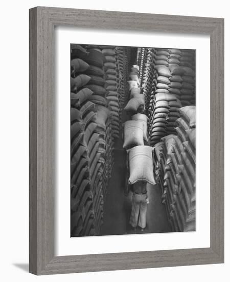 Brazilian Workers Carrying Large Sacks of Coffee Beans in Warehouse of Firm Lima, Noguera and Cia-John Phillips-Framed Photographic Print