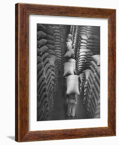 Brazilian Workers Carrying Large Sacks of Coffee Beans in Warehouse of Firm Lima, Noguera and Cia-John Phillips-Framed Photographic Print