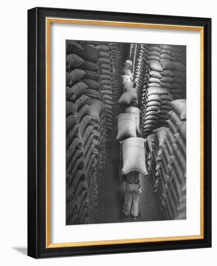 Brazilian Workers Carrying Large Sacks of Coffee Beans in Warehouse of Firm Lima, Noguera and Cia-John Phillips-Framed Photographic Print