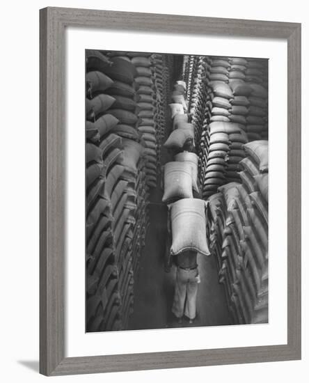 Brazilian Workers Carrying Large Sacks of Coffee Beans in Warehouse of Firm Lima, Noguera and Cia-John Phillips-Framed Photographic Print