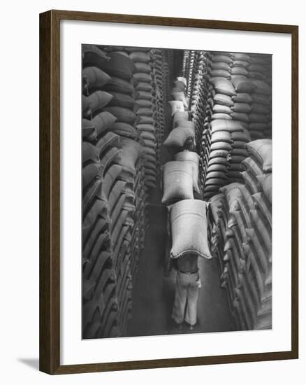 Brazilian Workers Carrying Large Sacks of Coffee Beans in Warehouse of Firm Lima, Noguera and Cia-John Phillips-Framed Photographic Print