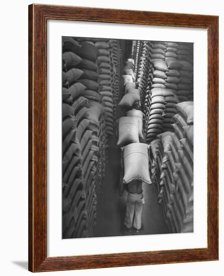 Brazilian Workers Carrying Large Sacks of Coffee Beans in Warehouse of Firm Lima, Noguera and Cia-John Phillips-Framed Photographic Print