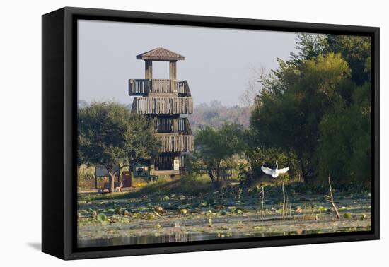 Brazos Bend State Park and Wetlands Near Houston, Texas, USA-Larry Ditto-Framed Premier Image Canvas