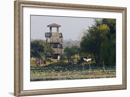 Brazos Bend State Park and Wetlands Near Houston, Texas, USA-Larry Ditto-Framed Photographic Print