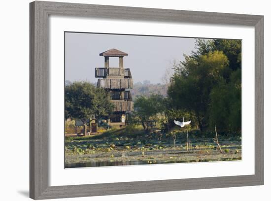 Brazos Bend State Park and Wetlands Near Houston, Texas, USA-Larry Ditto-Framed Photographic Print