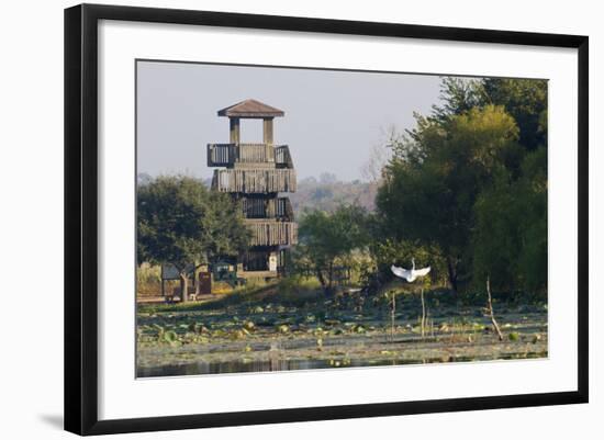 Brazos Bend State Park and Wetlands Near Houston, Texas, USA-Larry Ditto-Framed Photographic Print