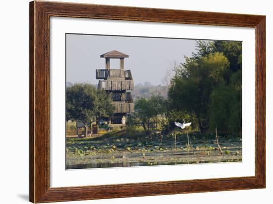 Brazos Bend State Park and Wetlands Near Houston, Texas, USA-Larry Ditto-Framed Photographic Print