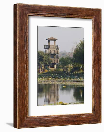 Brazos Bend State Park and Wetlands Near Houston, Texas, USA-Larry Ditto-Framed Photographic Print