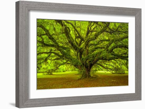 Brazos-Moises Levy-Framed Photographic Print