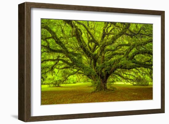 Brazos-Moises Levy-Framed Photographic Print