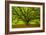 Brazos-Moises Levy-Framed Photographic Print