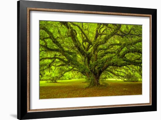 Brazos-Moises Levy-Framed Photographic Print