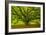 Brazos-Moises Levy-Framed Photographic Print