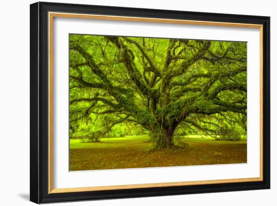 Brazos-Moises Levy-Framed Photographic Print