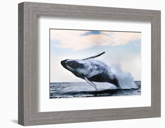 Breach-Alexander Safonov-Framed Photographic Print