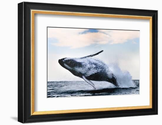 Breach-Alexander Safonov-Framed Photographic Print