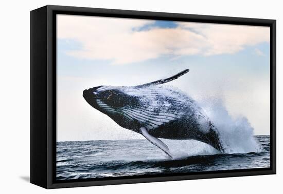 Breach-Alexander Safonov-Framed Premier Image Canvas