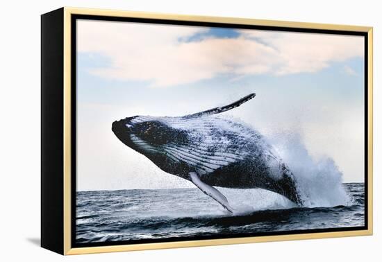 Breach-Alexander Safonov-Framed Premier Image Canvas