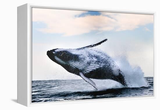 Breach-Alexander Safonov-Framed Premier Image Canvas