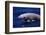 Breaching Cuvier'S Beaked Whale (Ziphius Cavirostris) Atlantic, USA-Todd Pusser-Framed Photographic Print