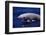 Breaching Cuvier'S Beaked Whale (Ziphius Cavirostris) Atlantic, USA-Todd Pusser-Framed Photographic Print