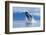 Breaching Humpback Whale, Alaska-Paul Souders-Framed Photographic Print