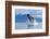 Breaching Humpback Whale, Alaska-Paul Souders-Framed Photographic Print