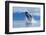 Breaching Humpback Whale, Alaska-Paul Souders-Framed Photographic Print