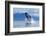 Breaching Humpback Whale, Alaska-Paul Souders-Framed Photographic Print