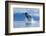 Breaching Humpback Whale, Alaska-Paul Souders-Framed Photographic Print