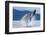 Breaching Humpback Whale, Alaska-Paul Souders-Framed Photographic Print