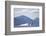 Breaching Humpback Whale in Chatham Strait-null-Framed Photographic Print