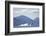 Breaching Humpback Whale in Chatham Strait-null-Framed Photographic Print