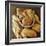 Bread Loaves and a Basket-Roy Rainford-Framed Photographic Print