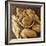 Bread Loaves and a Basket-Roy Rainford-Framed Photographic Print