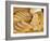 Bread Loaves and Slices of Bread-Lee Frost-Framed Photographic Print