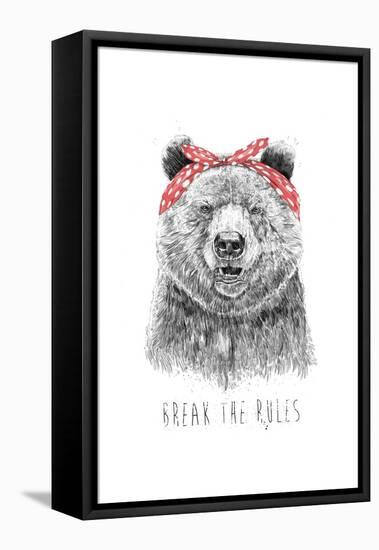 Break The Rules-Balazs Solti-Framed Stretched Canvas