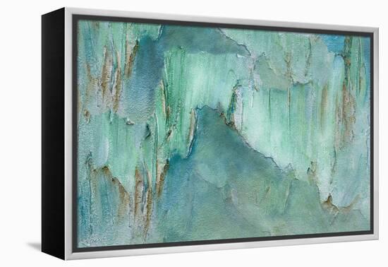 Break Through II-Sheila Finch-Framed Stretched Canvas