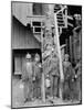 Breaker boys at Woodward Coal Mines, Pennsylvania, c.1900-Detroit Publishing Co.-Mounted Photographic Print