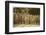 Breaker Boys Who Sort Coal by Hand at Ewen Breaker of Pennsylvania Coal Co-Lewis Wickes Hine-Framed Photographic Print